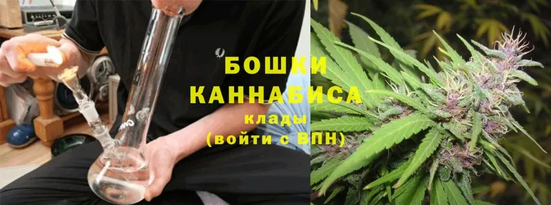 Каннабис индика  Кедровый 